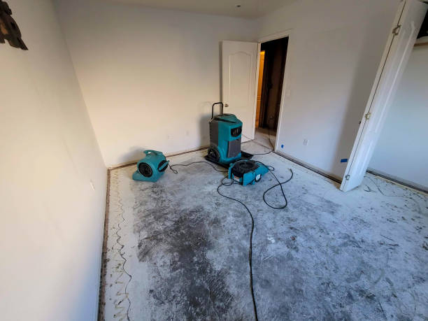 Best Flood restoration services  in Rock Hall, MD