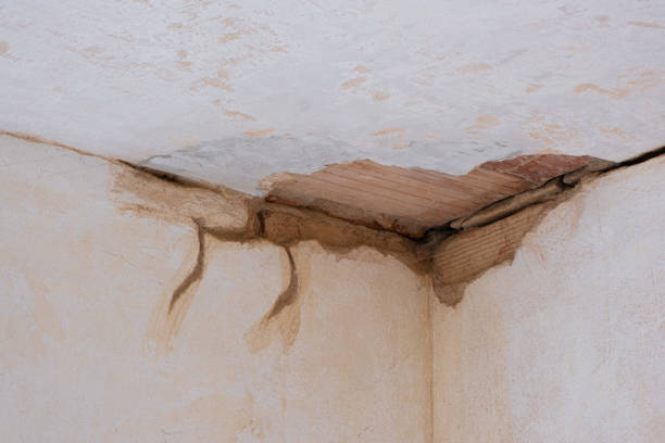 Best Basement water damage restoration  in Rock Hall, MD