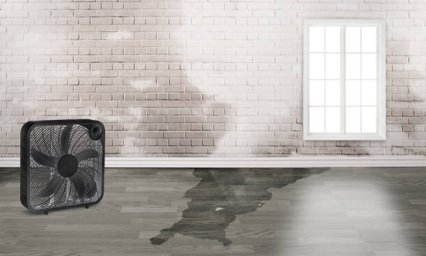  Rock Hall, MD Water damage restoration Pros