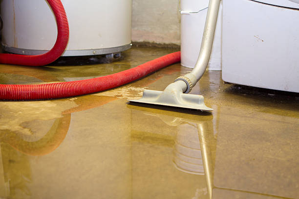 Best Water damage restoration services  in Rock Hall, MD