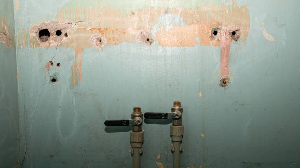 Rock Hall, MD Water damage restoration Company