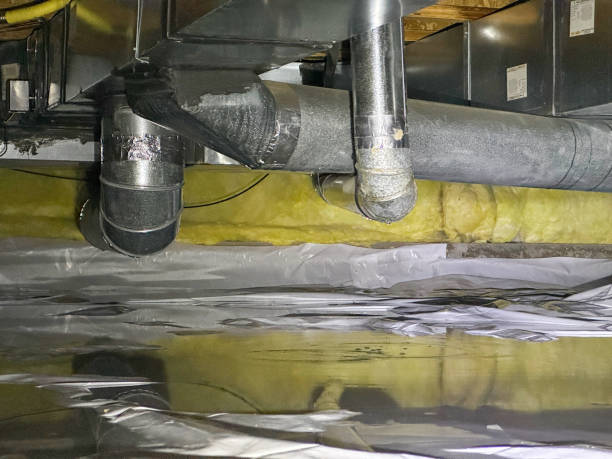 Best Water damage restoration near me  in Rock Hall, MD