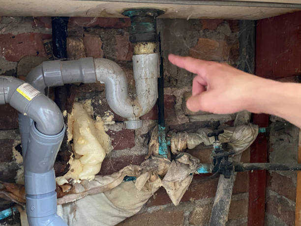 Best Flood restoration services  in Rock Hall, MD