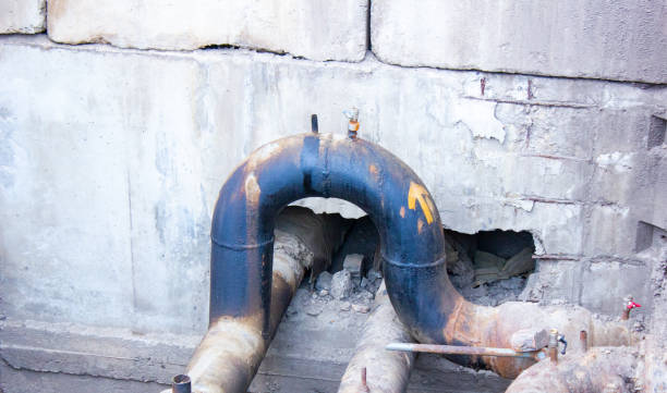 Best Professional water damage repair  in Rock Hall, MD
