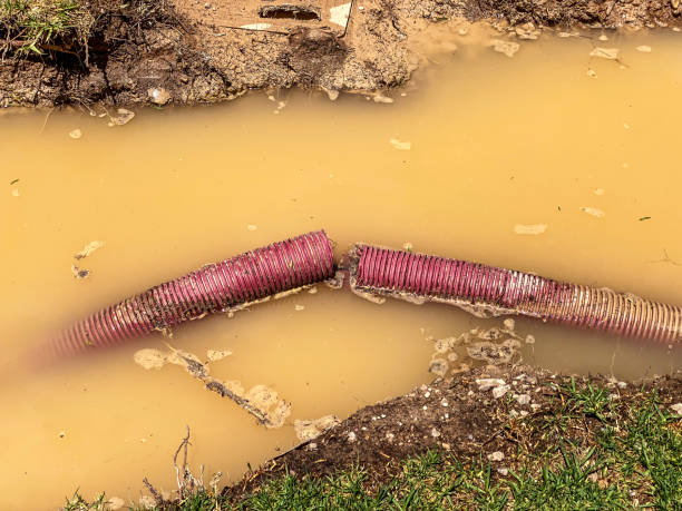 Local water damage restoration in Rock Hall, MD